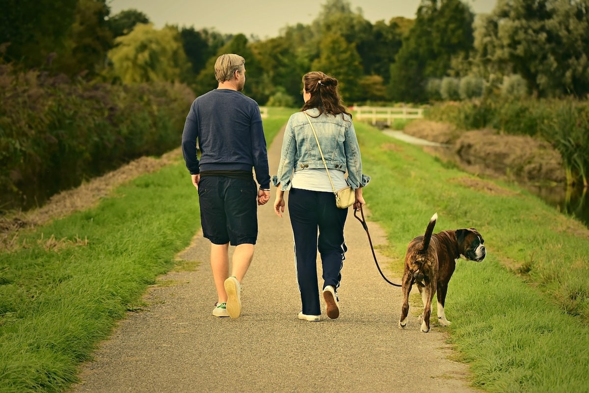 Quiz: How Well Does Your Lifestyle Support Long-Term Health? Two people take their dog for a walk in a park to keep fit.